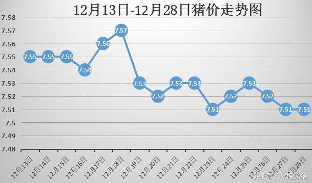 河北大名县今日猪价（邯郸市大名县今日限号）