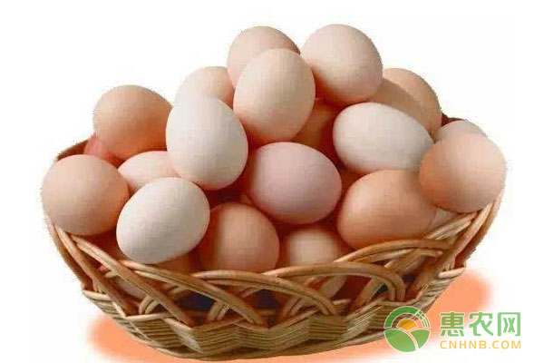 鸡蛋价格今日价一斤铜陵，哈尔滨鸡蛋价格 今日价