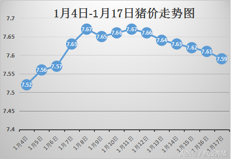 1月17日全国各地最新猪价！