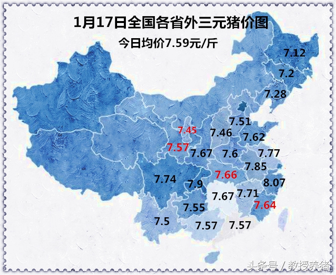 1月17日全国各地最新猪价！