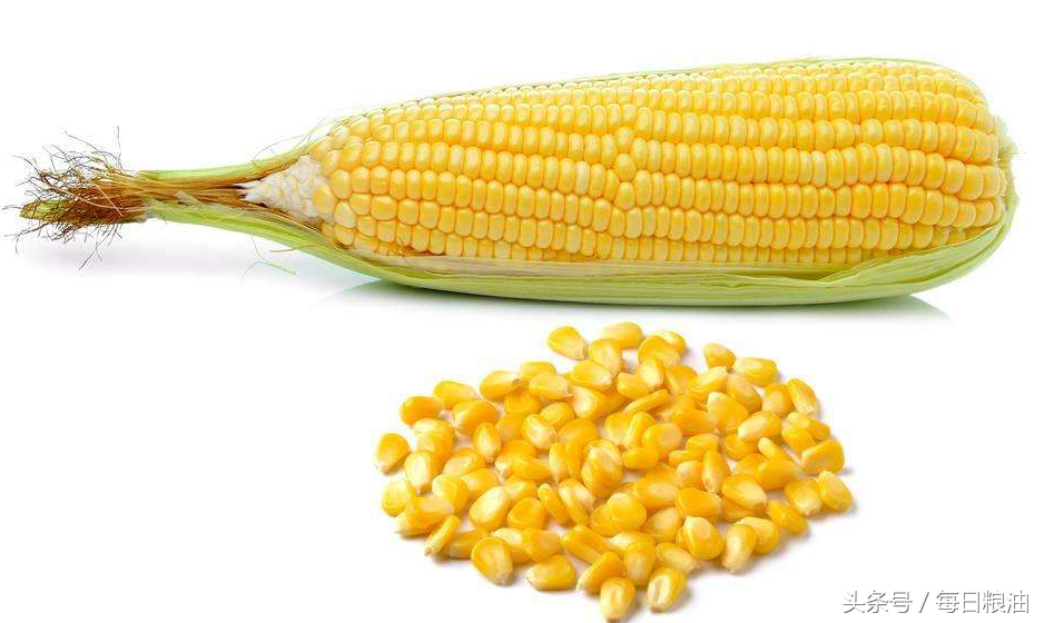 华北玉米价格再次上调 农民却反映自家粮食卖的价格太低