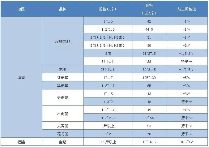 石斑鱼最新报价丨跌幅最高6元！寒潮来袭，担忧冻伤受损，鱼农惊恐出鱼，“天价”石斑鱼行情下滑