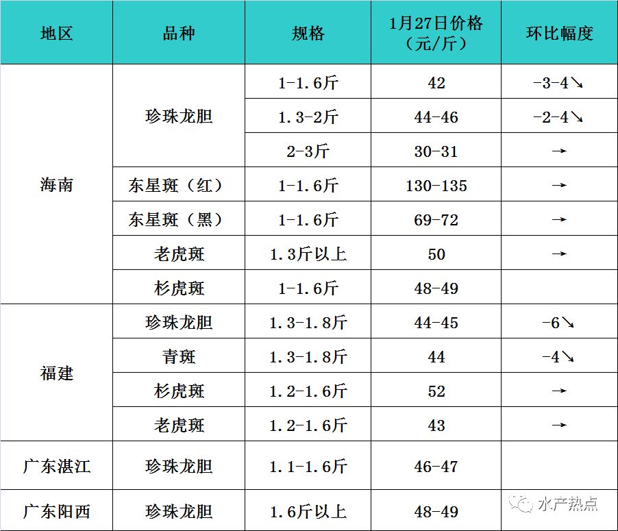 石斑鱼最新报价丨跌幅最高6元！寒潮来袭，担忧冻伤受损，鱼农惊恐出鱼，“天价”石斑鱼行情下滑