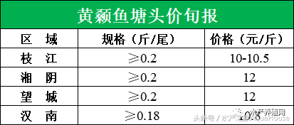 2月2日全国水产新闻总汇，各地区水产品塘口档口价格报价