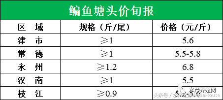 2月2日全国水产新闻总汇，各地区水产品塘口档口价格报价