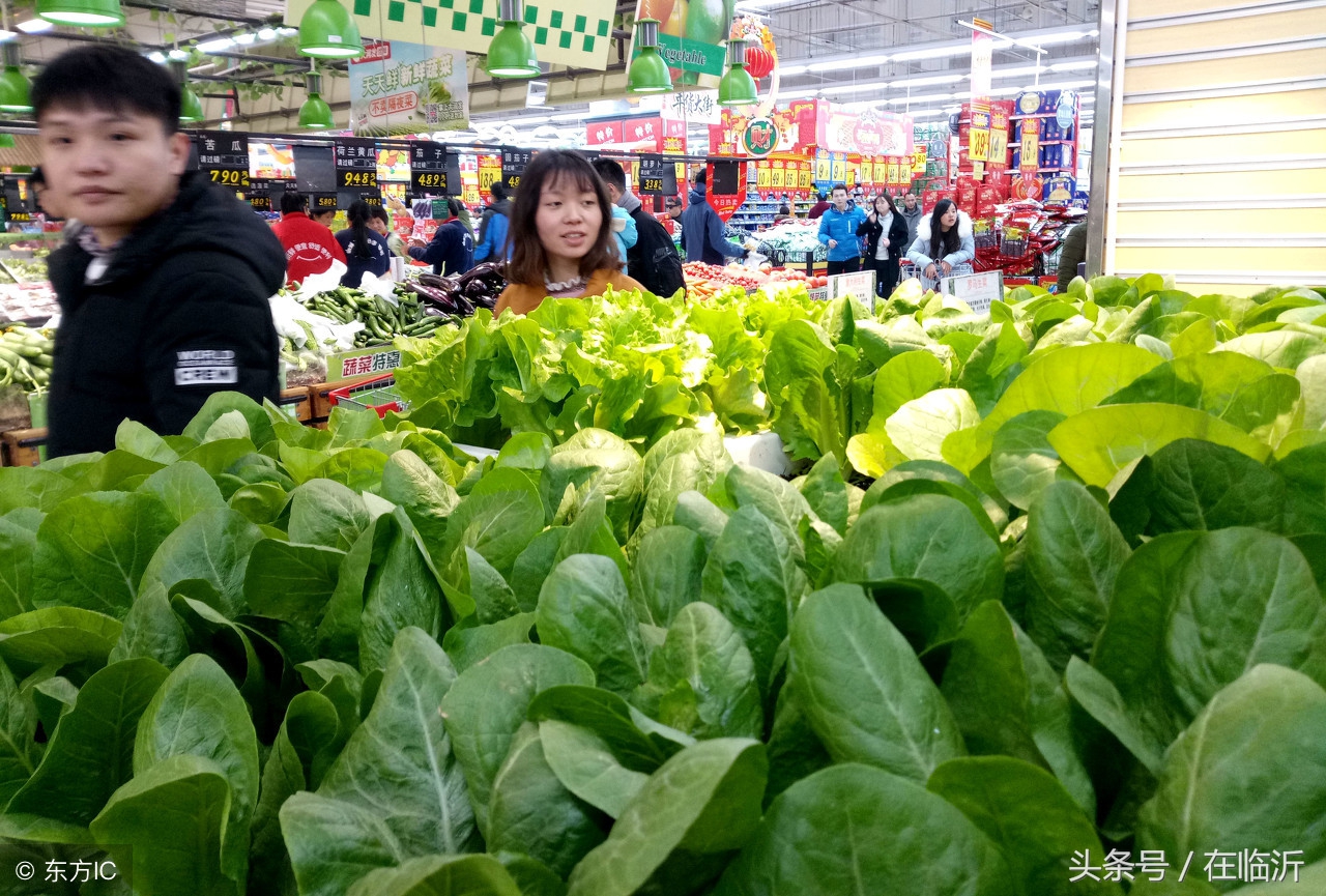 临沂费县一月蔬菜价格涨势凶猛