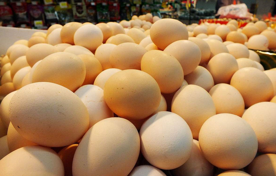 均价8.92/公斤 山东鸡蛋价格大幅回落