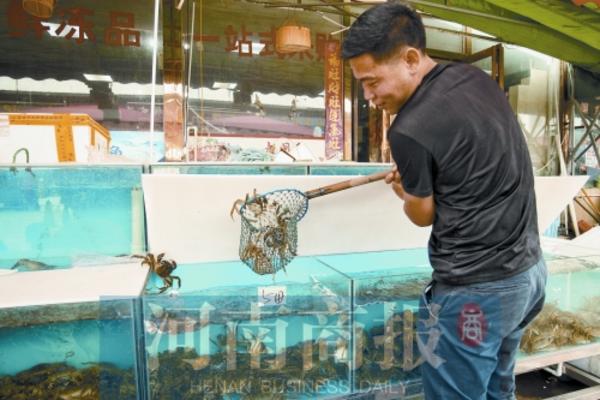 郑州今年大个儿蟹产量多价格比去年便宜 多来自江苏、湖北