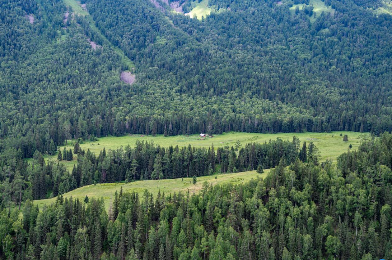 蜀锦视觉 | 长安深蓝SL03北疆24小时