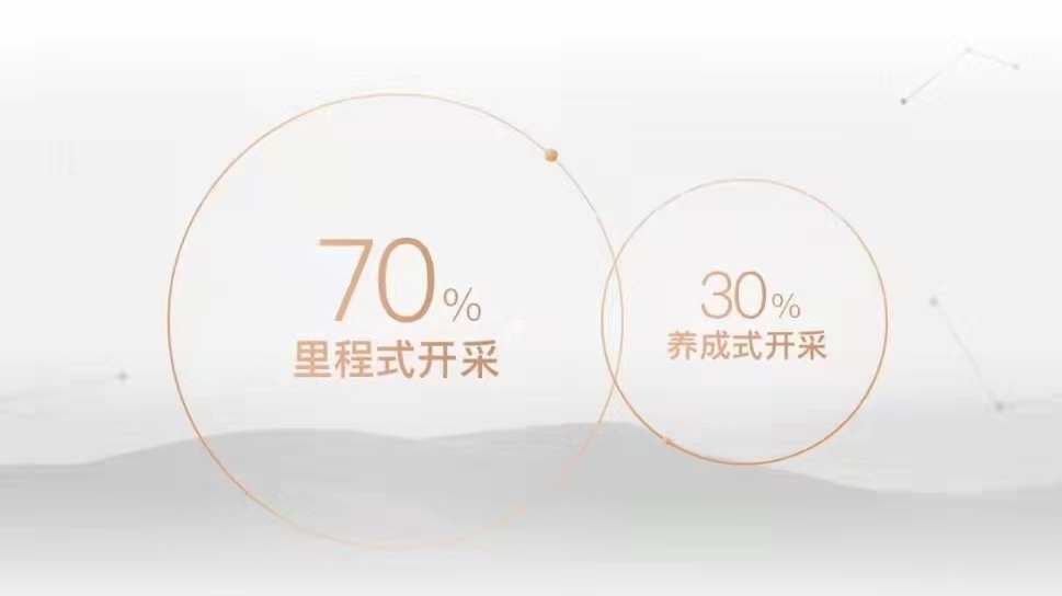 智己L7的直数据埋点