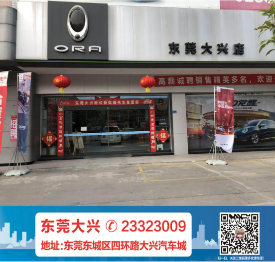 东莞大兴长城欧拉第九届东莞（长安）汽车展览会 放心购