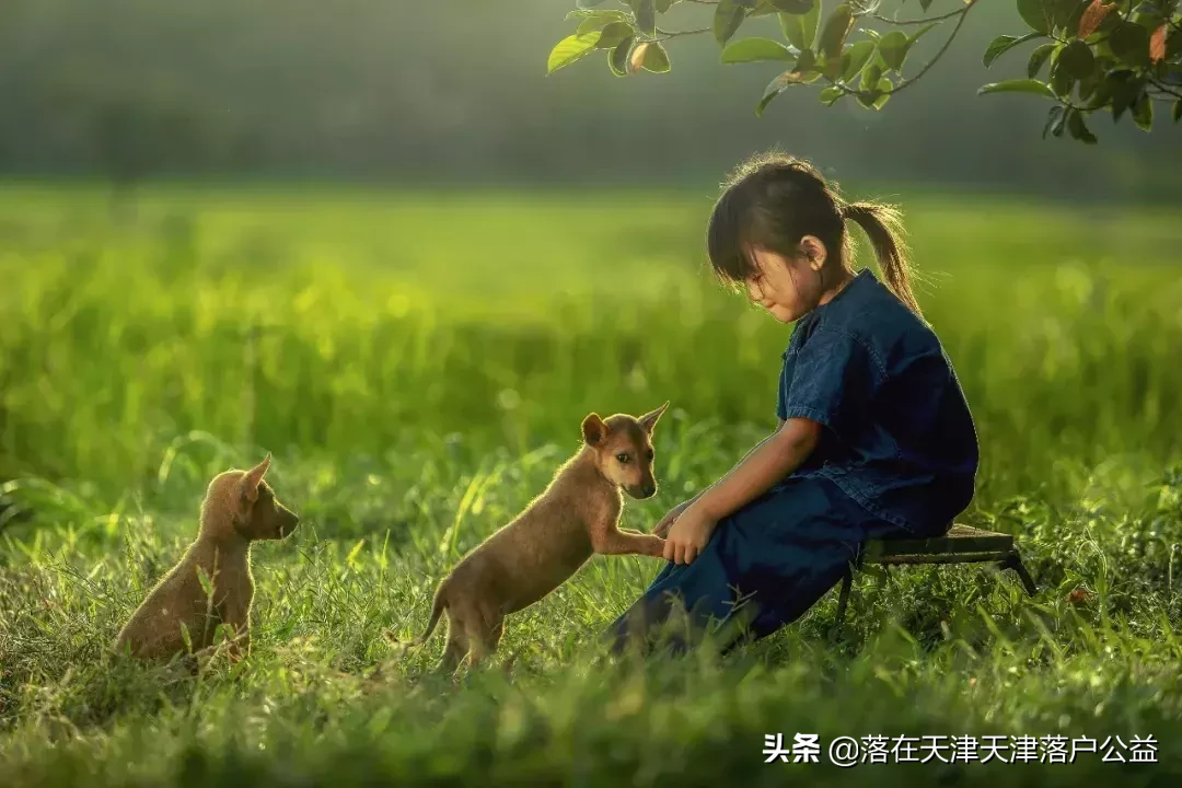 细嚼慢咽的生活，慢下来正在成为一种更健康的生活方式