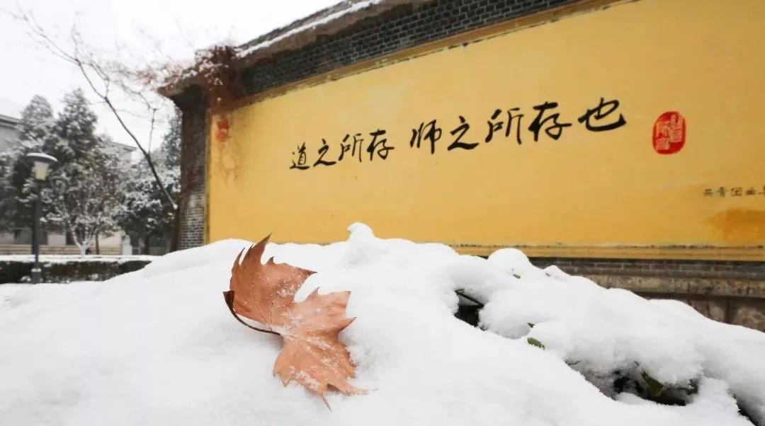 母校曲阜师范大学，“学而不厌，诲人不倦”的精神一直激励着我