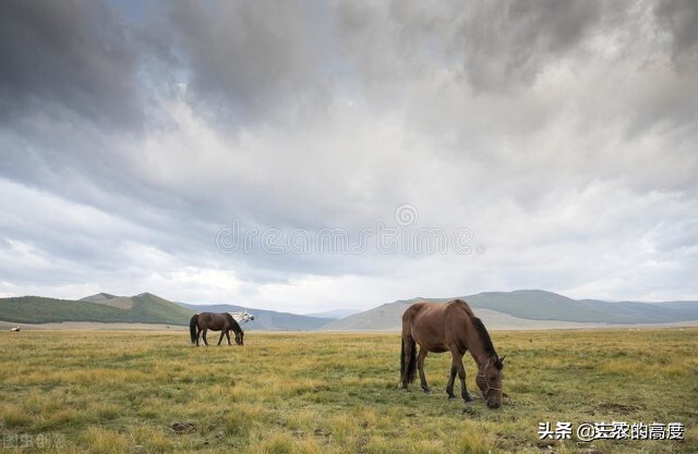 俗话“驴肉香，马肉臭，打死不吃骡子肉”，古人为何忌讳吃骡马肉