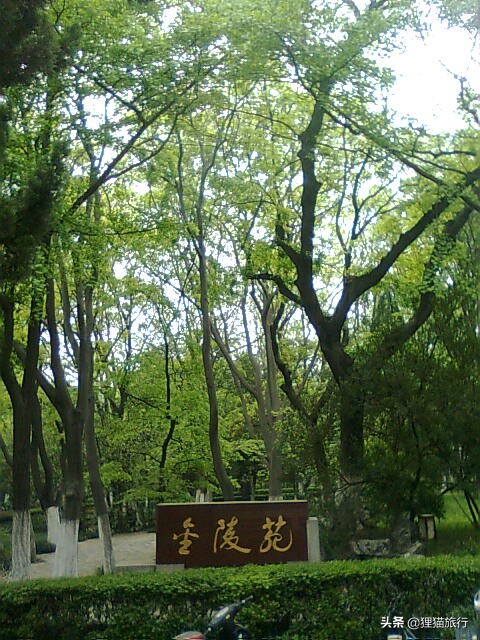 百年名校南京大学一日游，八年前的老照片带你回忆南大