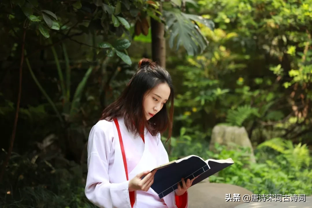 20首读书诗词，一首诗一个心得，读懂受益无穷