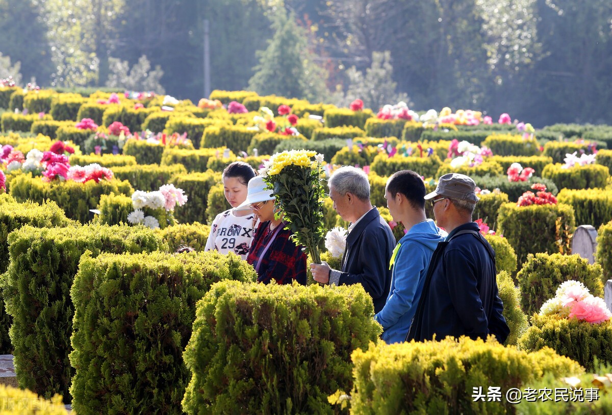 俗语：清明上坟四忌讳，做了四忌有晦气，啥意思？哪四事不能做？