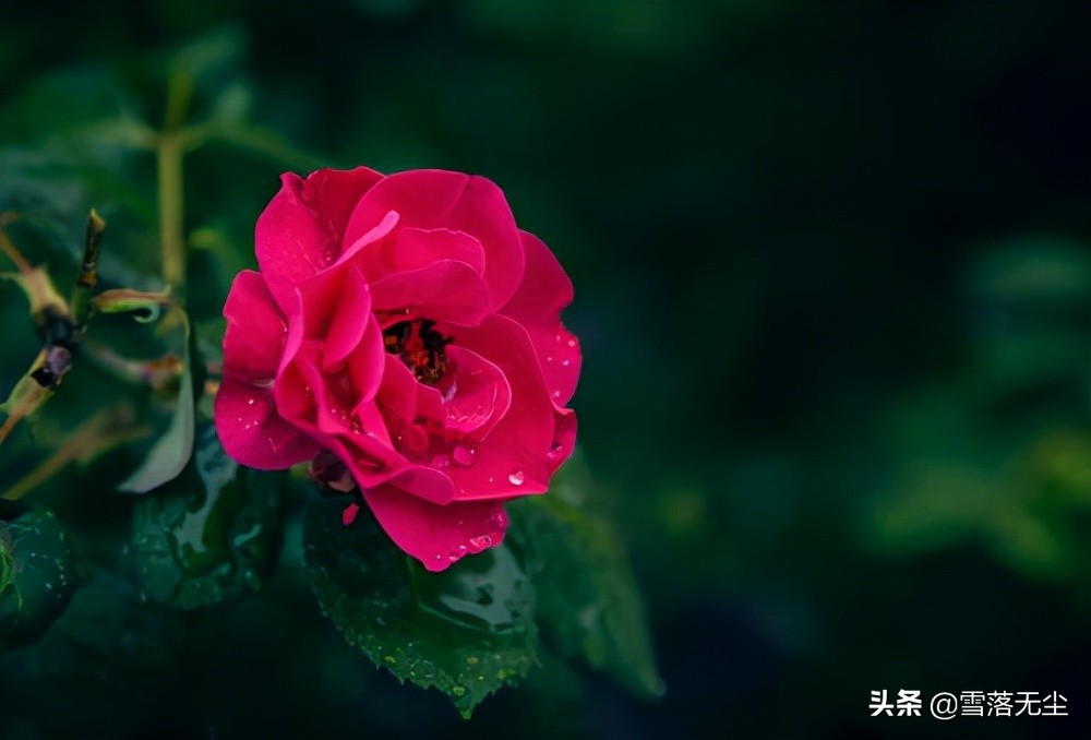 女人，试着“狠一点”，你会活得更漂亮