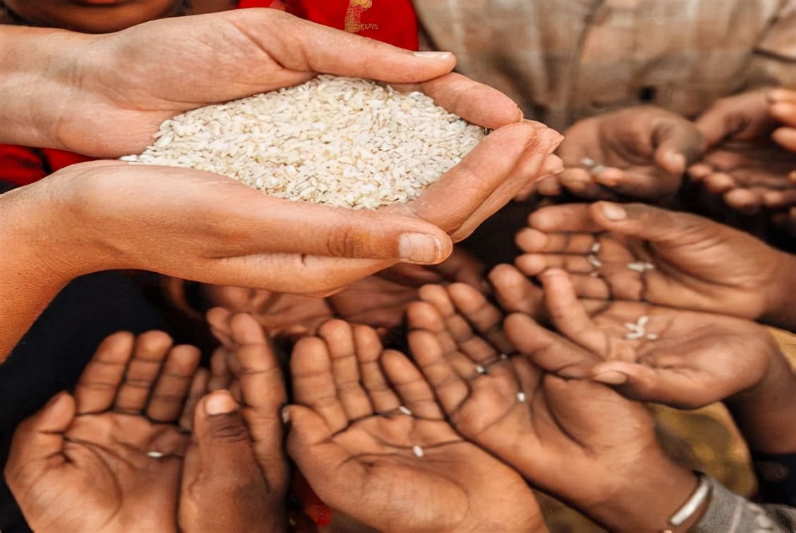 20亿人吃撑，7亿多挨饿，粮食离奇失踪哪去了？中美究竟有多浪费