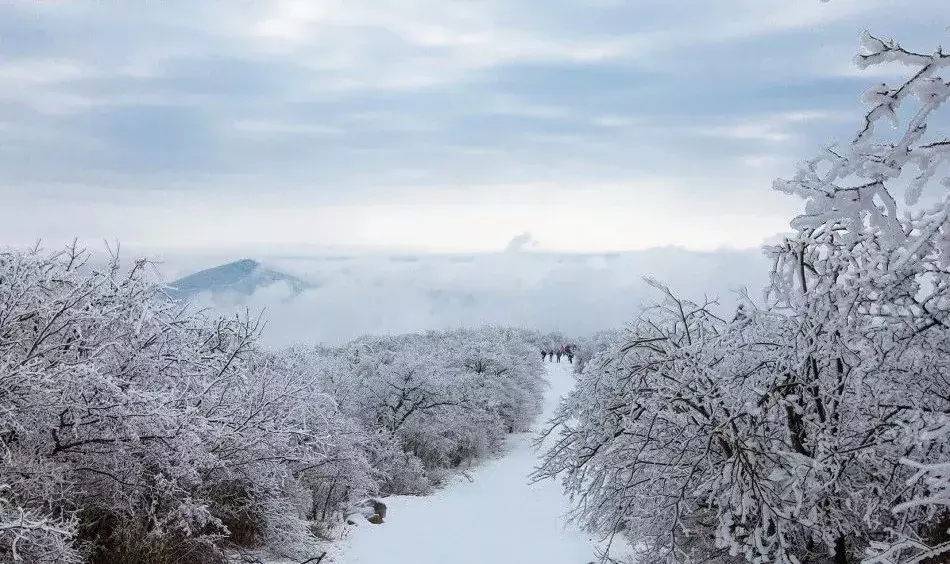 安吉江南天池滑雪场值得一去么(8分钟直抵江南唯一滑雪场，还有温泉，来这家高山云雪民宿充电打卡)