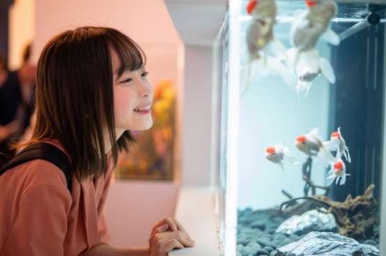 遭网友吐槽？日本女大学生选美冠军身高只有146，但颜值甜到齁