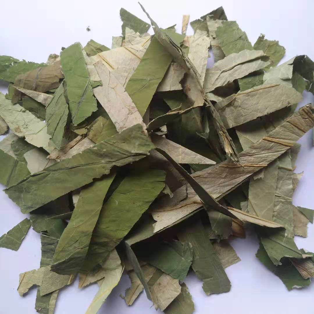 荷叶的功效与作用 荷叶灰的功效与作用及禁忌-人人投票