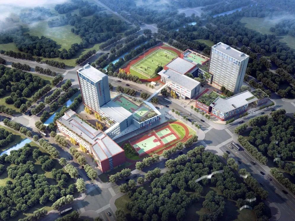 速看！今年15所新学校投用，你家周边有变化吗？