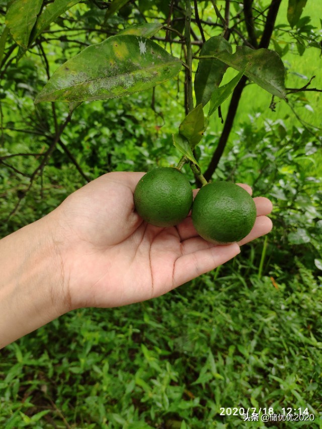 感悟:生活需要仪式感，人人都需要