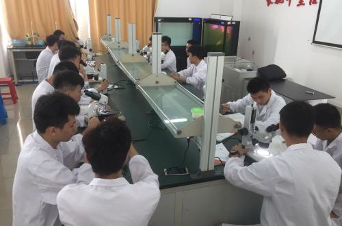 广东科贸职业学院招生计划专业介绍