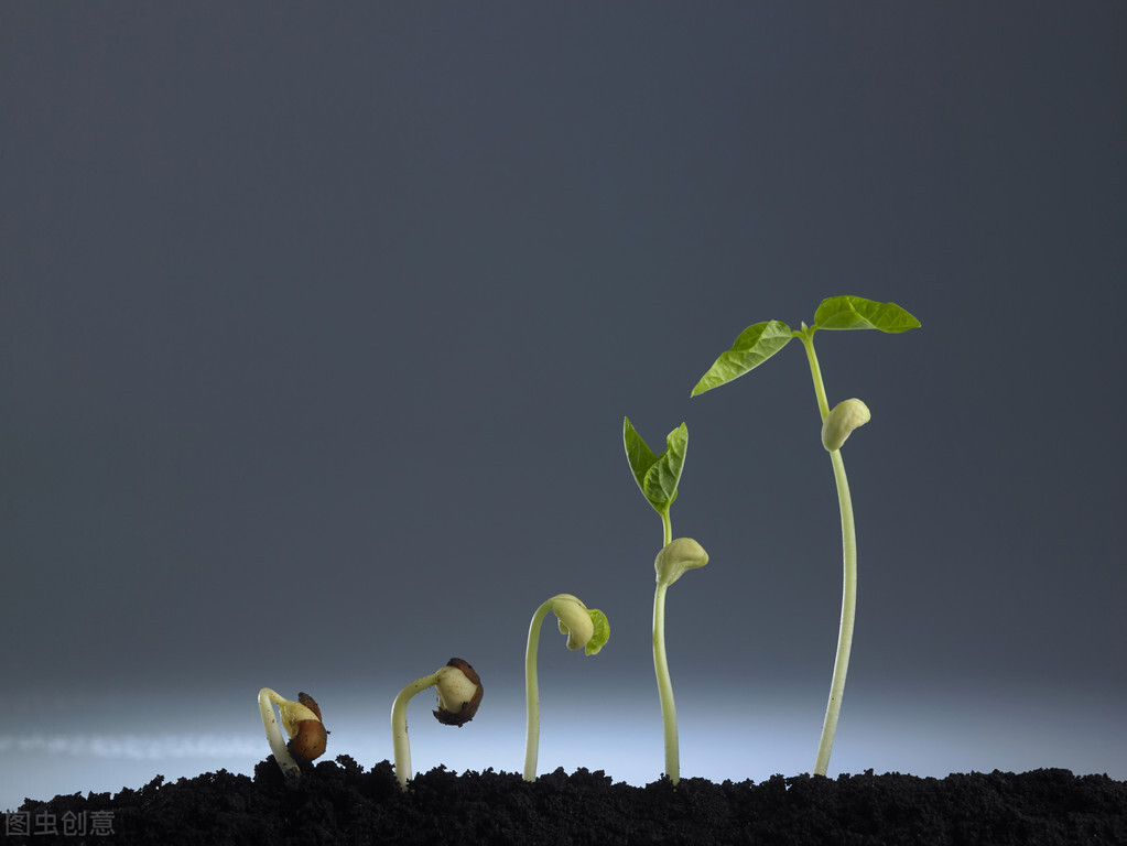 涨知识 | 5句话带你领略白酒之美