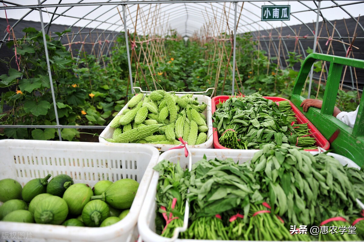 承包地延期30年，确权证书还有用吗？确权证多出来的土地归谁？