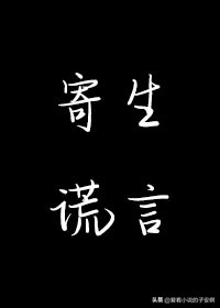 律师文系列小说合集 | 好在世间总有星辰开道，不枉此行