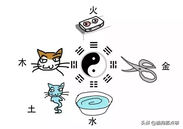 寻宠｜民间玄学找猫—剪刀大法使用指南