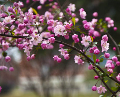 南昌航空大学2017-2018年录取分数线