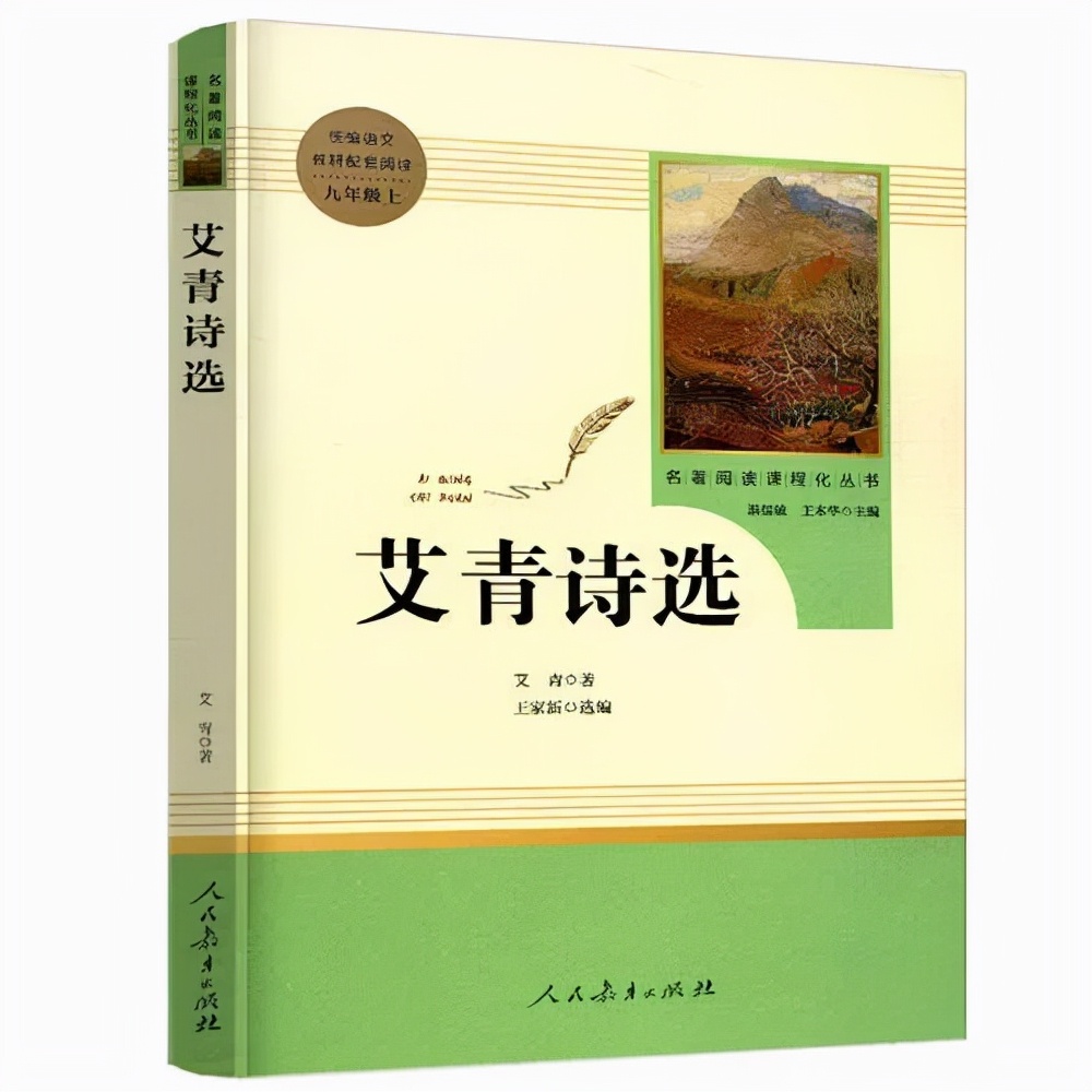 初中语文九上《艾青诗选》名著导读 知识汇编 中考真题 读后感