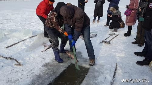 300块钱一斤的农村美味，冰天雪地也要去捉，味道实在太好吃了！