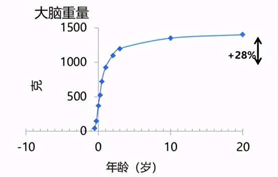 DHA要不要补、怎么补？营养师：“补的对”宝宝的小脑袋更灵光