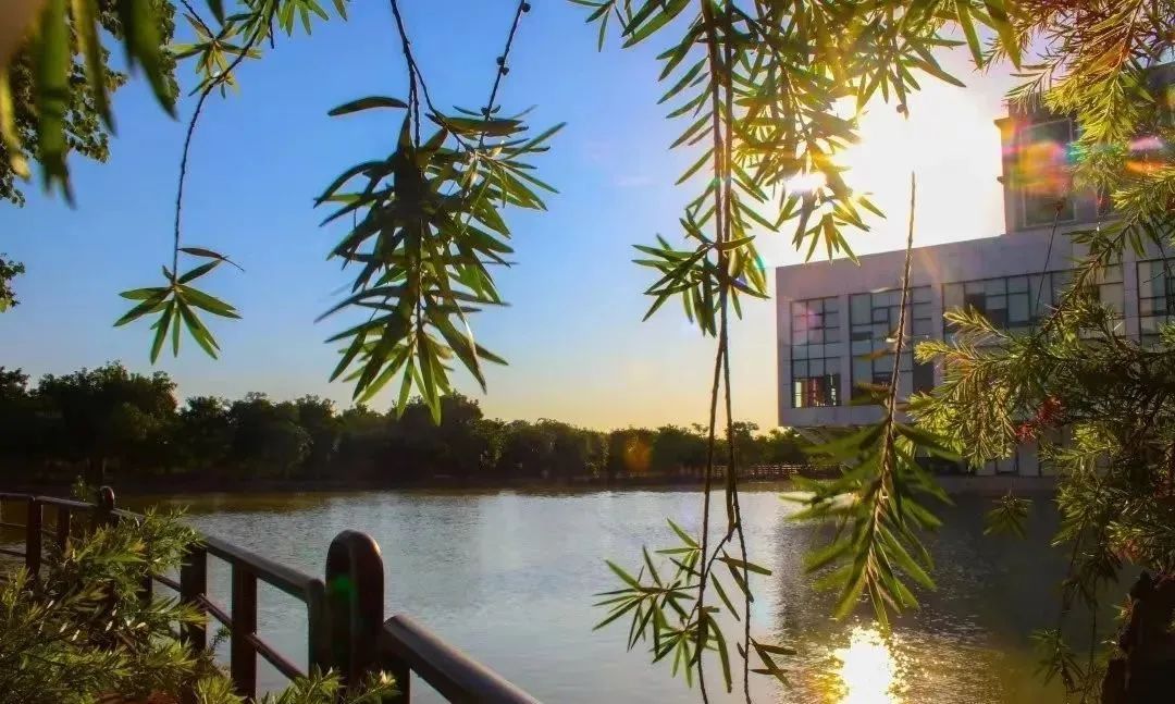 高职高考必看｜全面了解广州工商学院