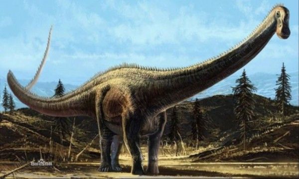 最大的恐龙是哪个历史上真的有58米长的恐龙吗