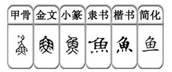 鱼字大家族：“双法字理”想传授大家的就是“渔”，而不是“鱼”