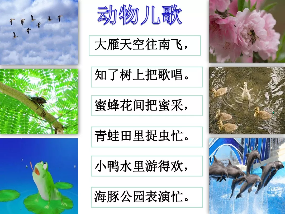 蜘组词100个（蜘组词100个两个字）-第45张图片-昕阳网