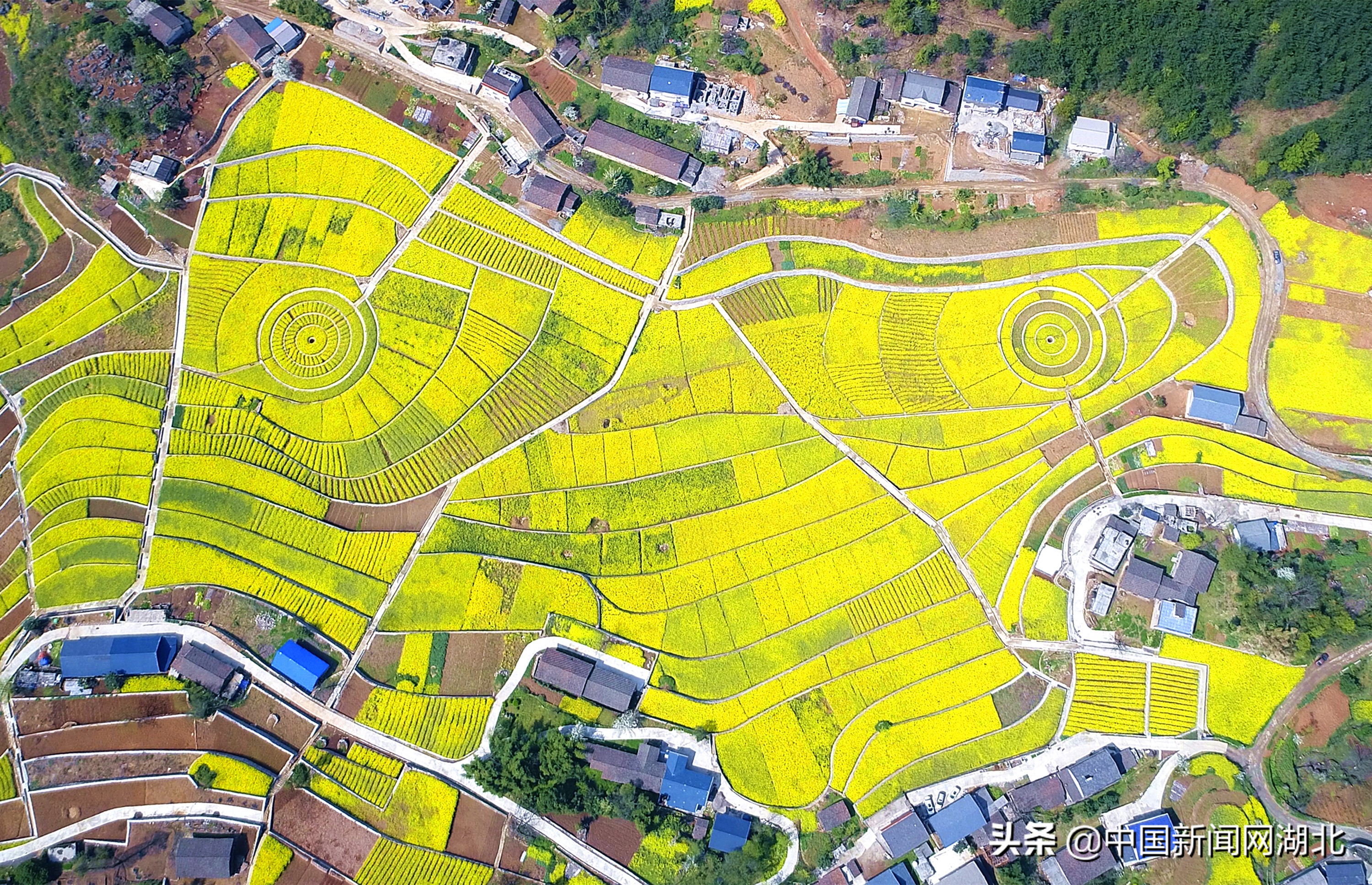 中新网湖北新闻4月27日电 (杜哲焱 丁祥兵)几年前,兴山县水月寺镇安桥