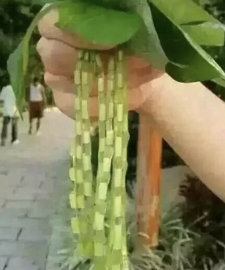 盘点70个童年经常玩的游戏，一秒拉回到小时候