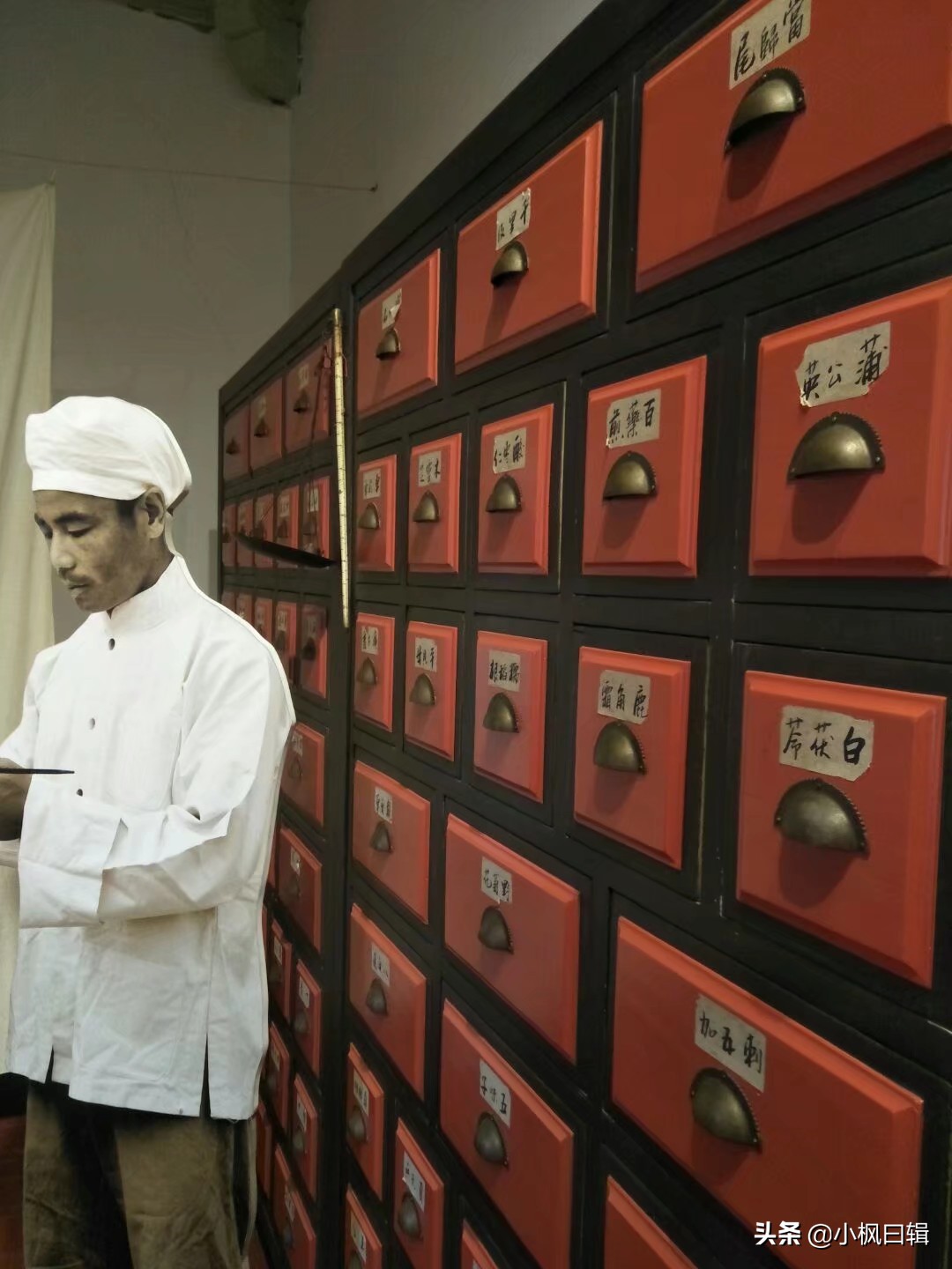 云南陆军讲武堂，民国三大军校之一，60张历史图集分享