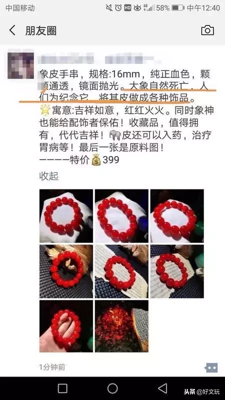 象牙黑市被曝光!进货克价7元,转手赚几十倍……