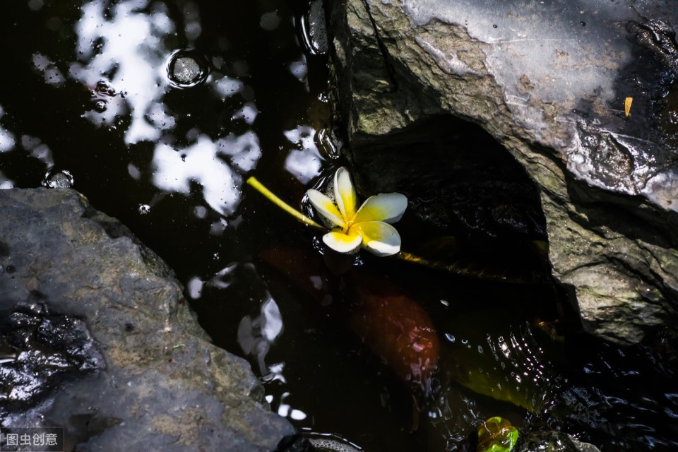 上联：落花有意随流水，下联等你来对