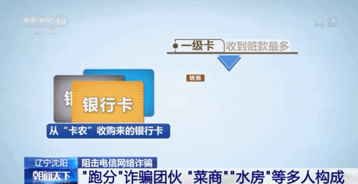 “跑分”“菜商”“水房” 电信诈骗黑话大揭秘！