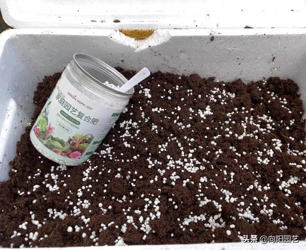 哪些植物不能用椰砖（椰糠价格很低富含植物纤维）