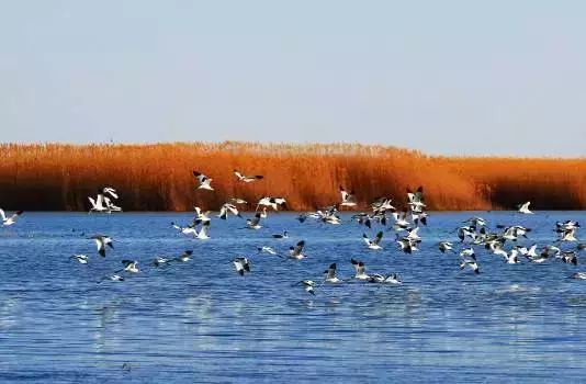 居延海，三千弱水，原来在此