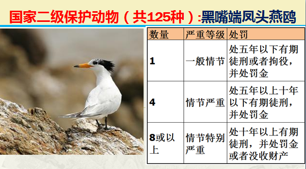 二级保护动物（国家最新125类二级野生保护名录）